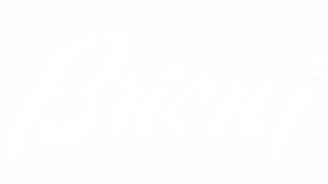 Brioni logo